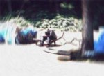 その他、行方不明者